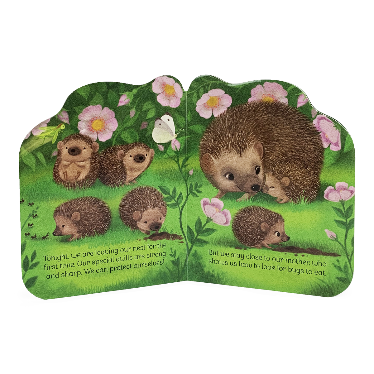 A Little Hedgehog Shaped Board Book