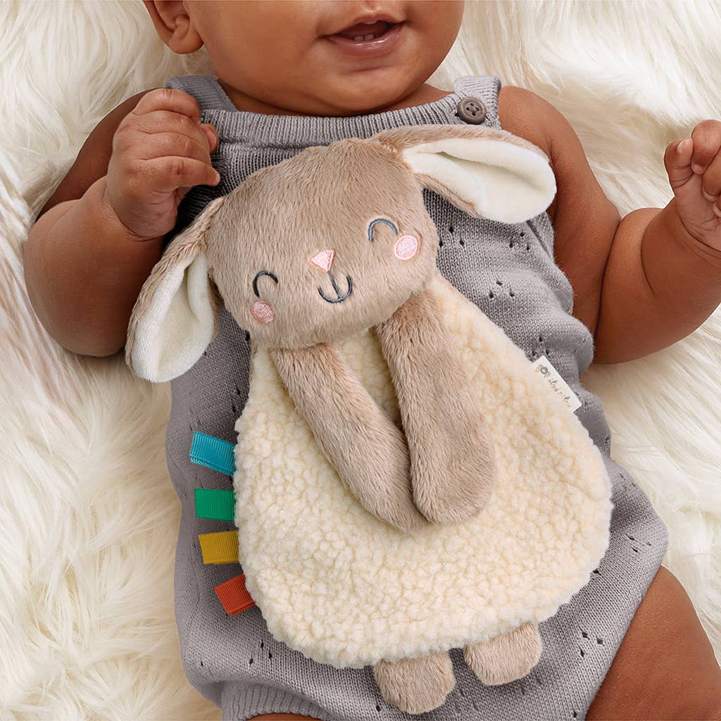 Itzy Bunny Learn & Snuggle Gift Set